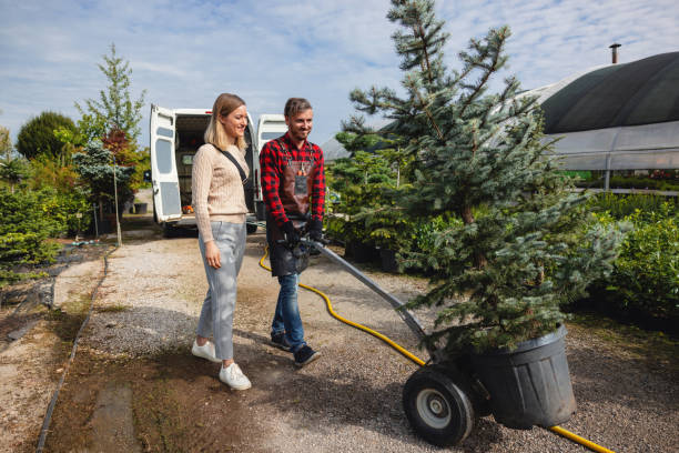 How Our Tree Care Process Works  in  Oceanport, NJ